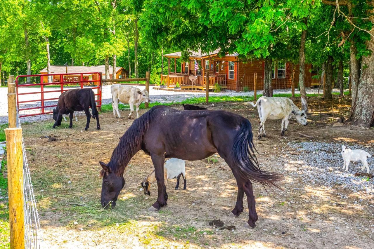 Almost Heaven Farmers Paradise On 50 Acres! Villa Brownsville Luaran gambar